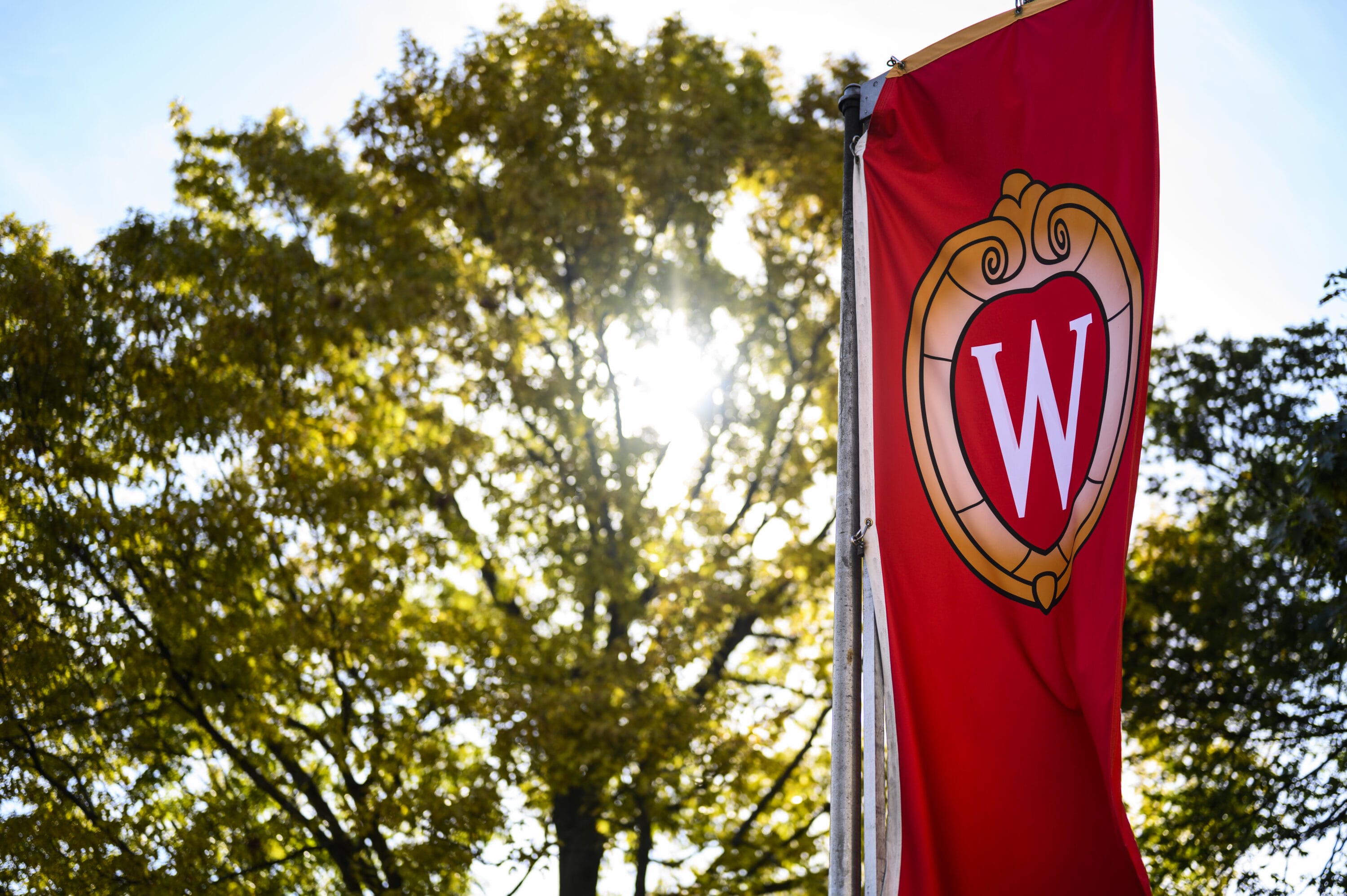 The UW-Madison flag in front of a tree